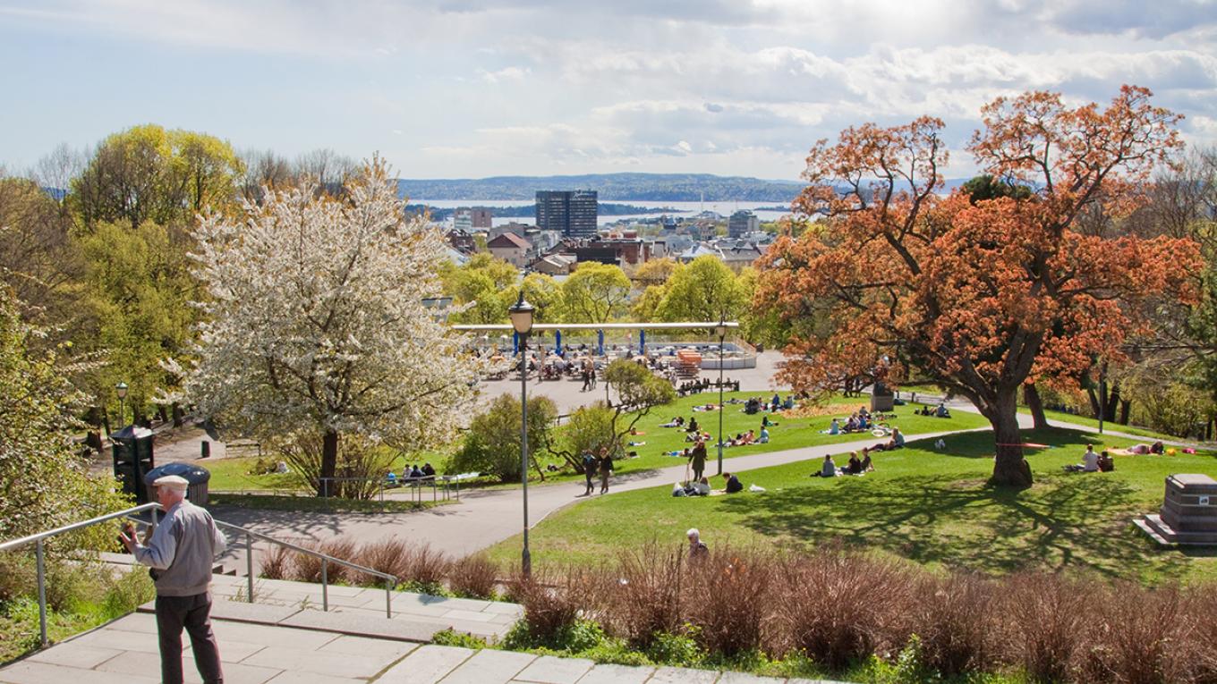 Flere af scenerne i SKAM er optaget i St. Hanshaugen. SKAM, tv-serie, serie, NRK, norsk serie, rejseguide, VisitOSLO, Oslo, Norge