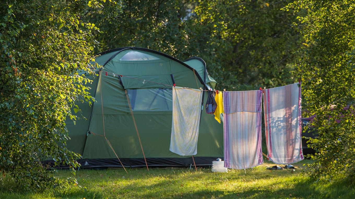 Singlerne og deres børn bor på DCU-Camping Ålbæk Strands teltplads, når der er singlecamping i uge 29 og 30. Singlecamping, DCU-Camping Ålbæk Strand, telt