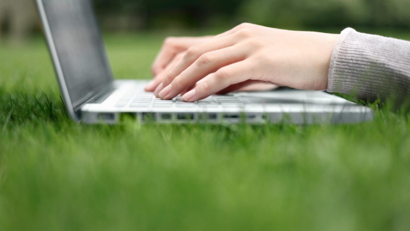 computer, bærbar, græs, hænder