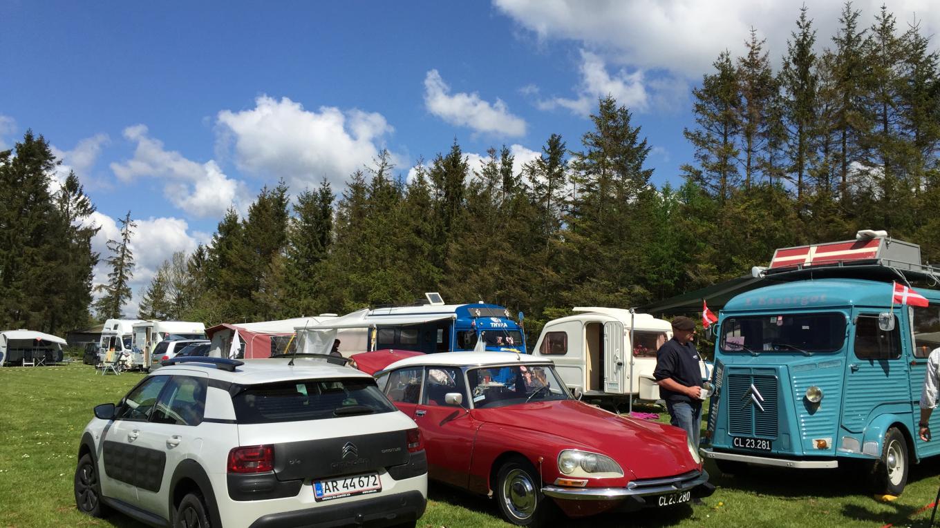 Ciftræf på Vestbirk Camping
