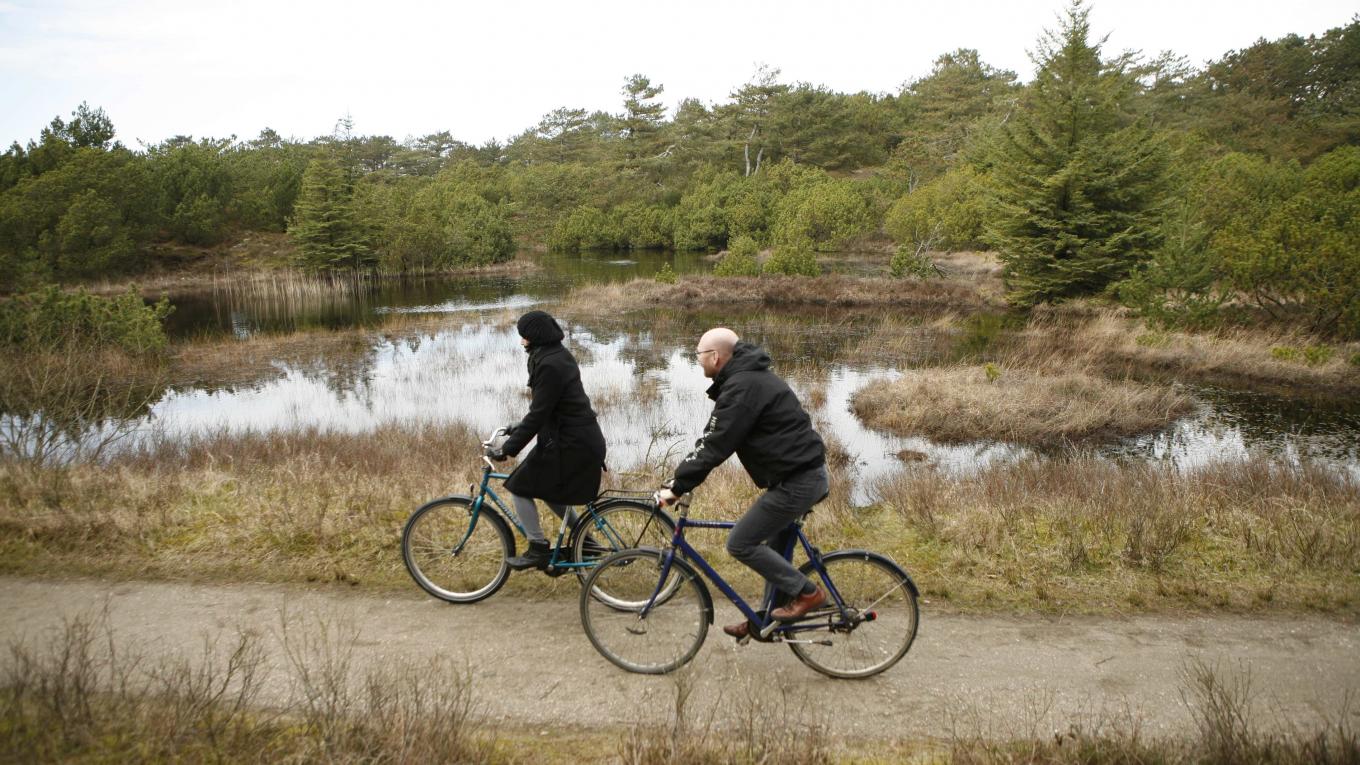 Spild Moderat Catena Cykelturisme får et løft på danske øer | DCU