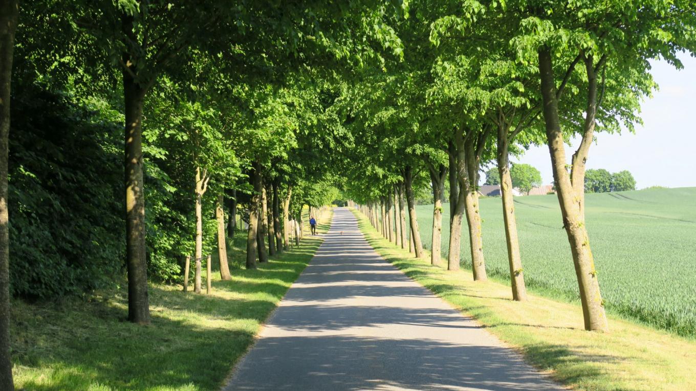 Camping i Danmark er en af de grønneste former for ferie. Foto: Anne-Vibeke Isaksen Camping i Danmark er en af de grønneste former for ferie. Foto: Anne-Vibeke Isaksen