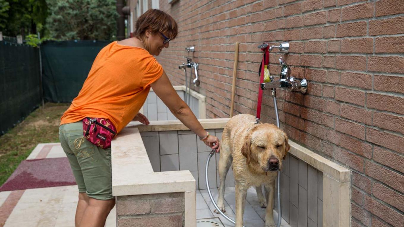 På Marina di Venezia er der fine faciliteter for de firbenede. Marina di Venezia, Italien, campingplads, camping, femstjernet, familiecamping, Venedig, hundebad, hundefaciliteter
