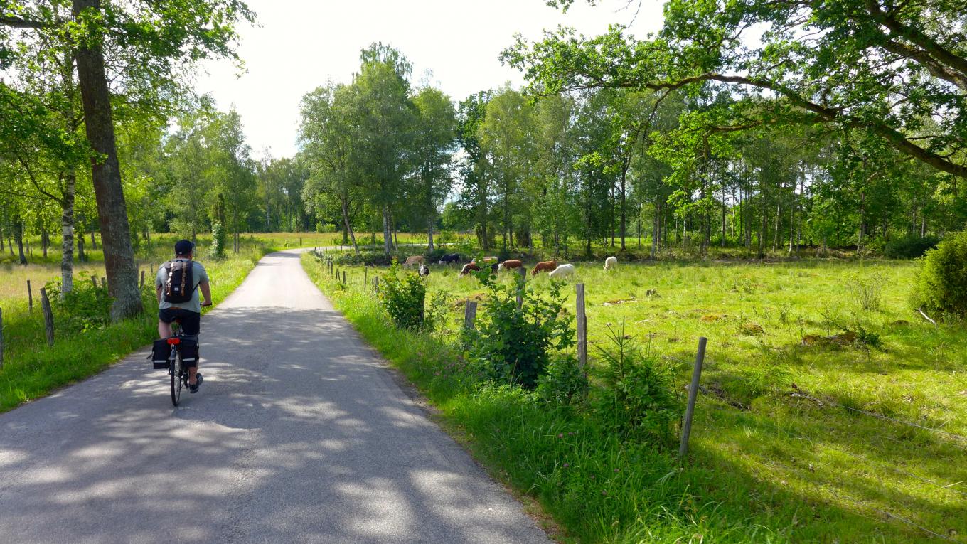 Den nye cykelrute i Sverige åbner sommeren 2016. Sverige, cykelrute, VisitSweden