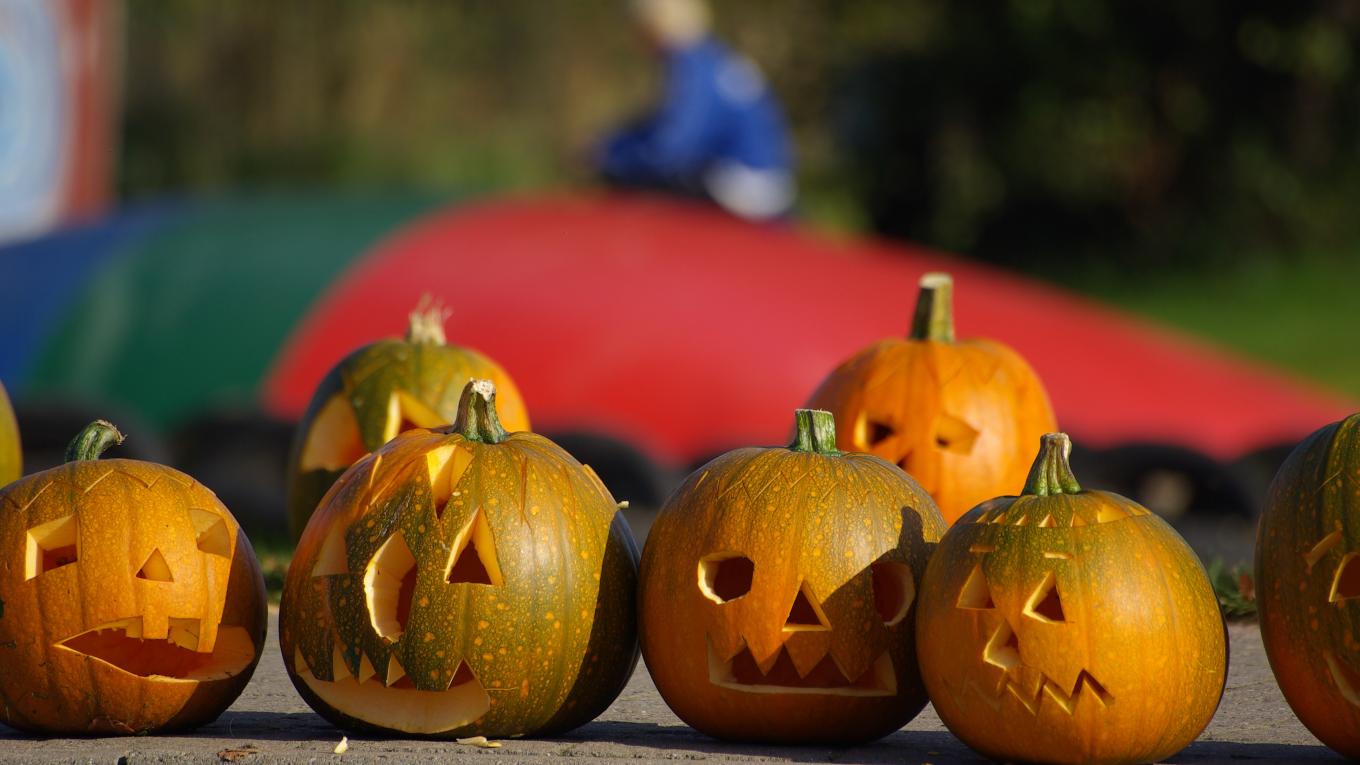 Bøsøre Strand Feriepark holder Halloween med uhyggelig hygge og natløb. Bøsøre Strand Feriepark, camping, campingplads, all-inclusive, Halloween