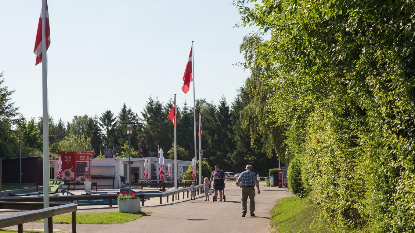 hesselhus_2015_foto_lasse_loendahl_henriksen-21.jpg_-_beskaaret.jpg