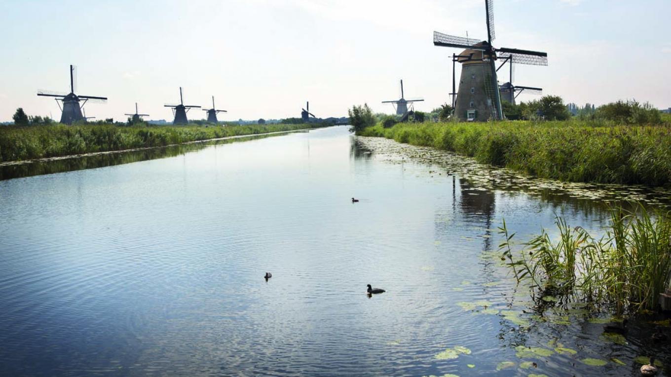 Møllerne ved Kinderdijk styres manuelt og kan pumpe cirka 50 kubikmeter vand væk i minuttet. Holland, møller, Kinderdijk