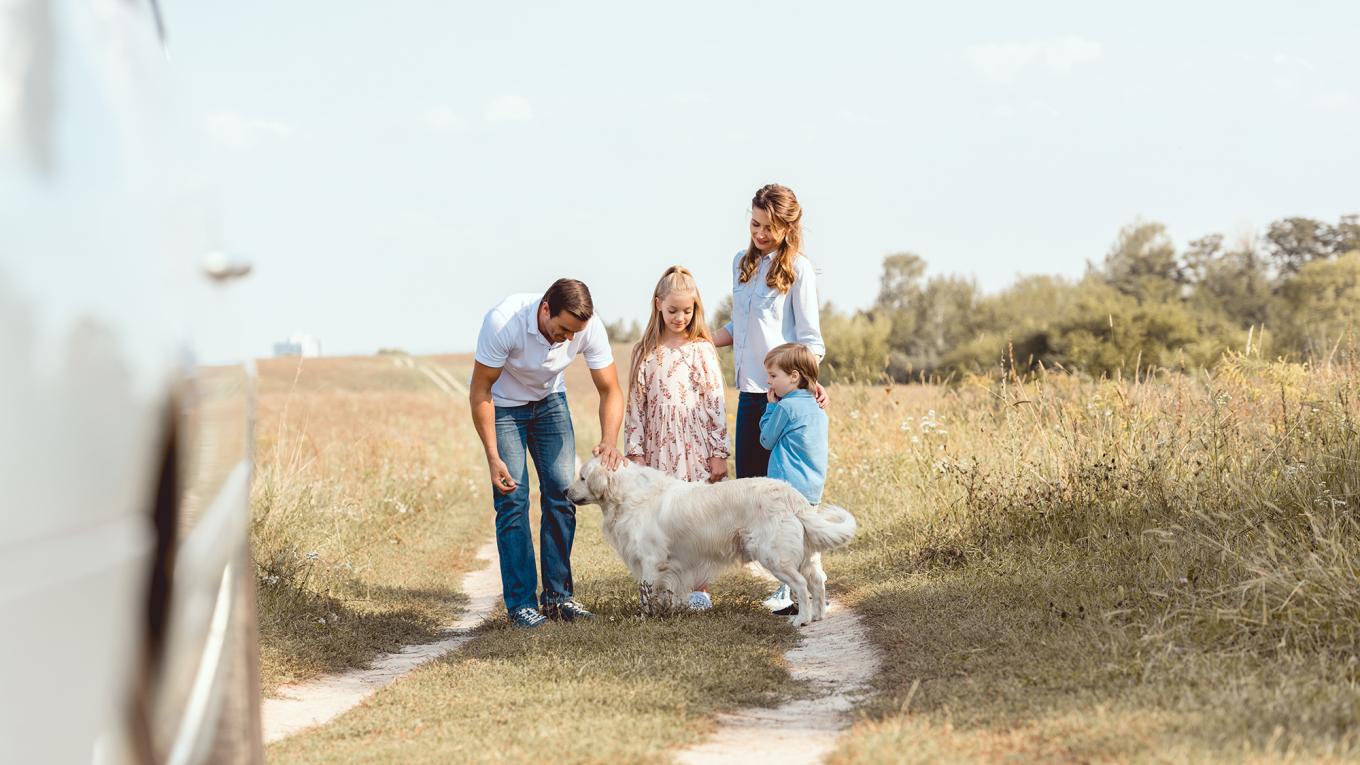 Foto: Adobestock Foto: Adobestock