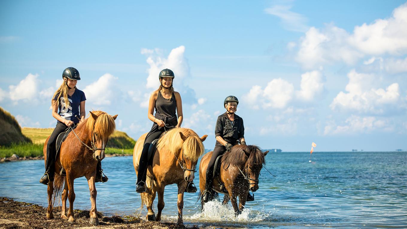 Høj og lav puls på Langeland, Danmark, aktivferie, ridning, vand, natur