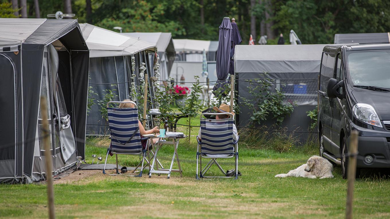 Campingovernatninger, camping i Danmark, danske campingpladser