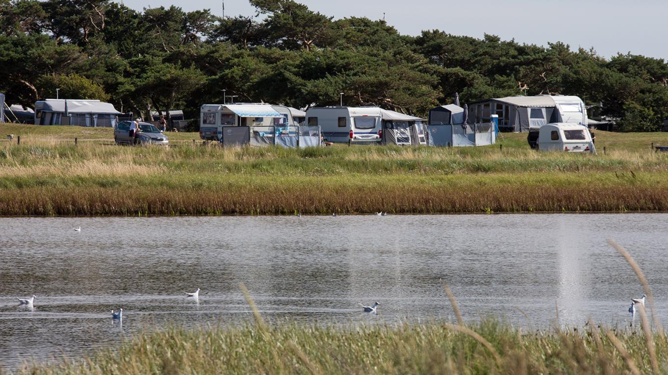 Trods et lille fald i overnatningstallene er camping stadig danskernes foretrukne ferieform. Her et billede fra DCU-Camping Sanddobberne i Nordvestsjælland. Campinganalysen 2015, camping, campingturisme, overnatningstal, overnatninger, DCU-Camping Sanddobberme