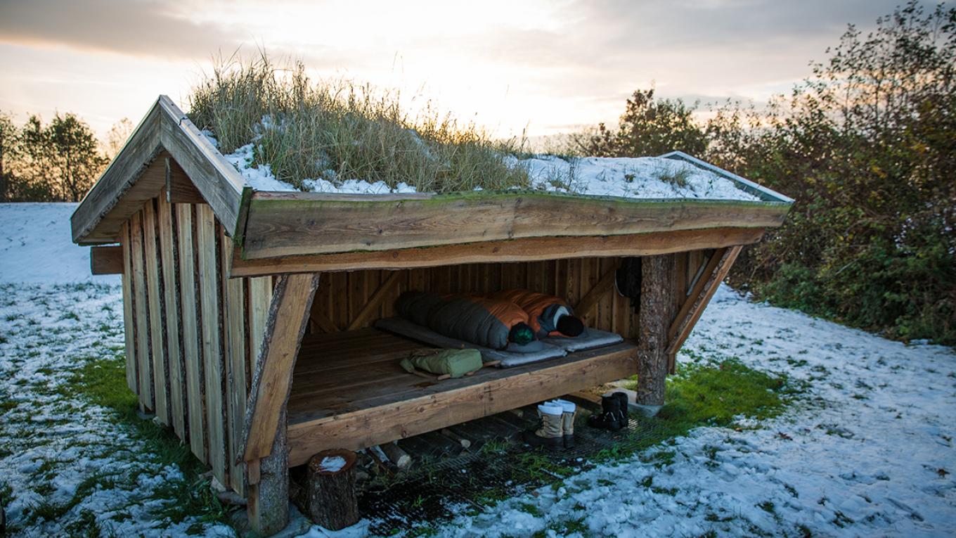 Shelter, sov i det fri, brødre, 365 dages camping i det fri