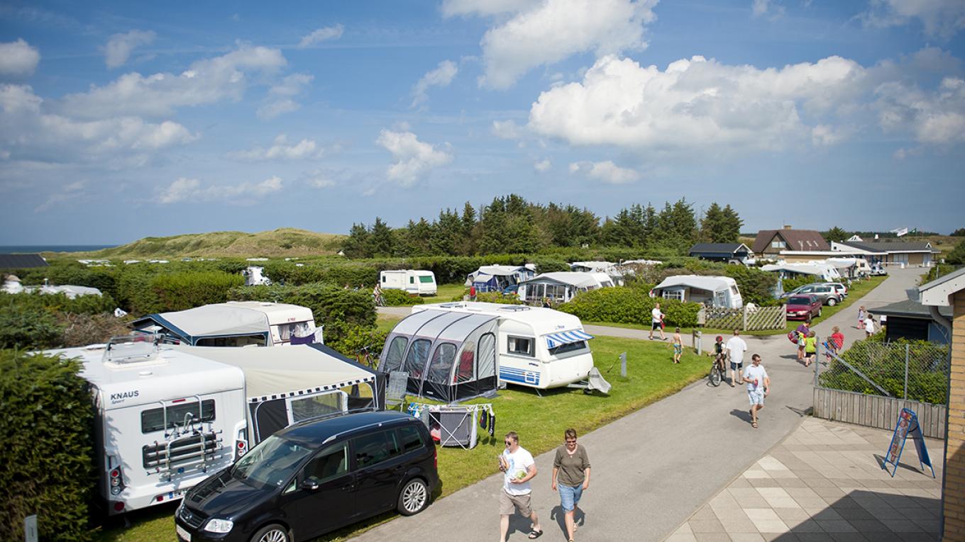 Gæsterne er vilde med Skiveren Camping, der ligger ved Aalbæk i Nordjylland. Skiveren Camping, campingplads, Aalbæk, Nordjylland