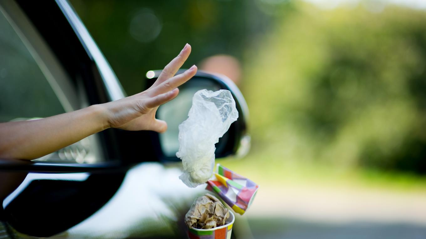 Foto: Adobestock Foto: Adobestock