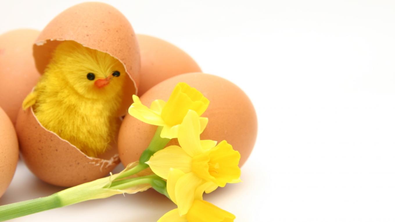 Foto: Adobestock Foto: Adobestock