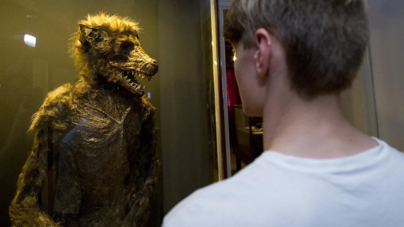 museum obscurum museum obscurum