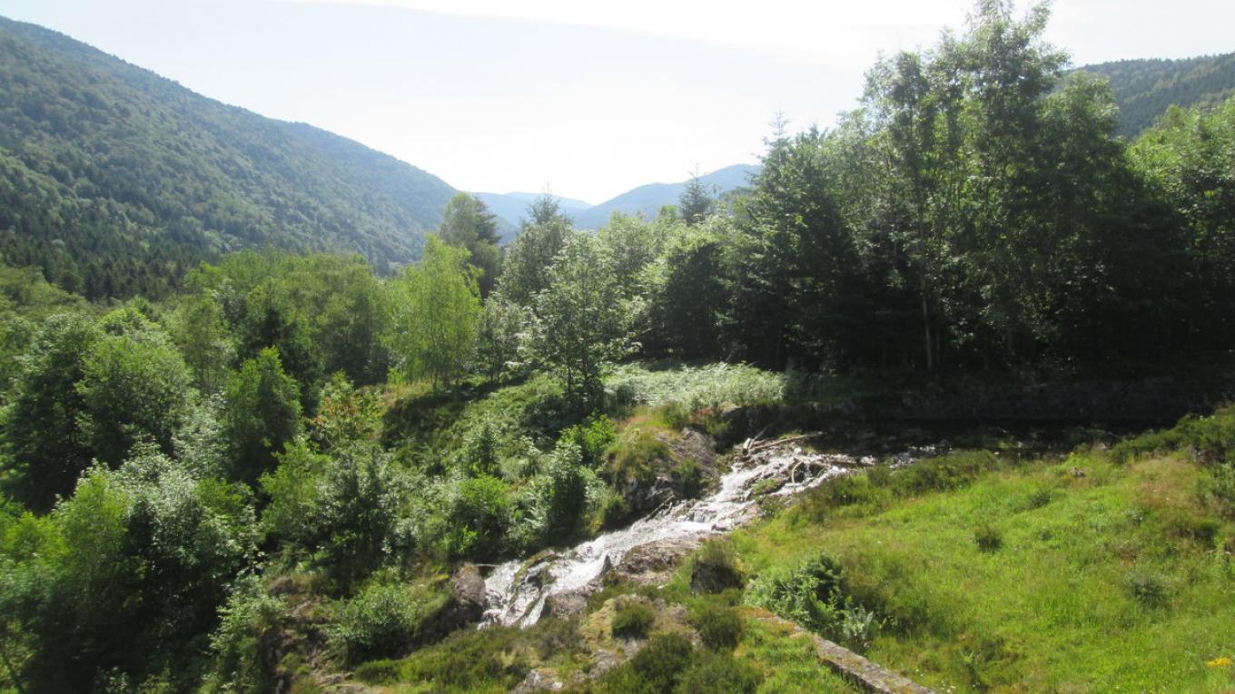 Camping de Masevaux Camping de Masevaux