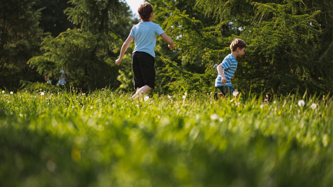 Derfor skal ungerne med ud i naturen Derfor skal ungerne med ud i naturen