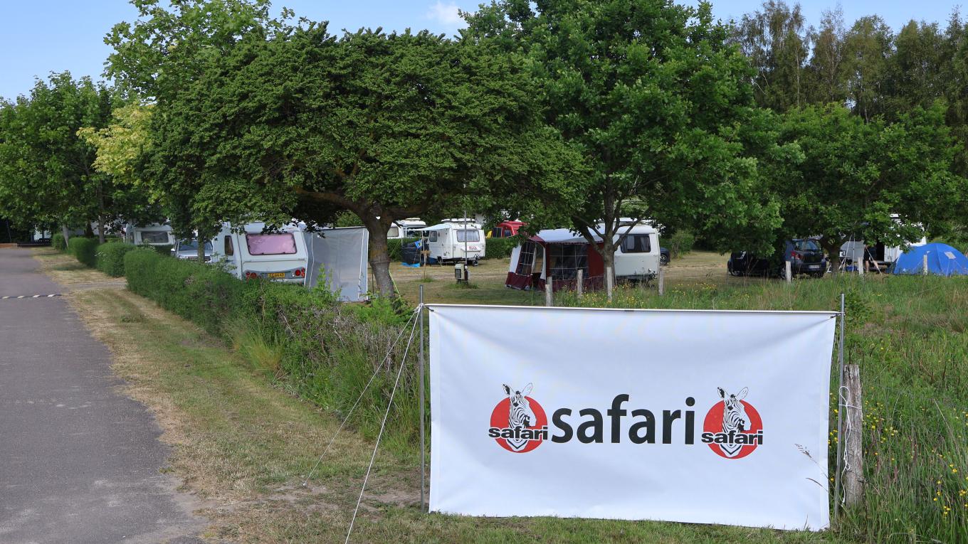 Safaritræf-generelt1 Safaritræf-generelt1