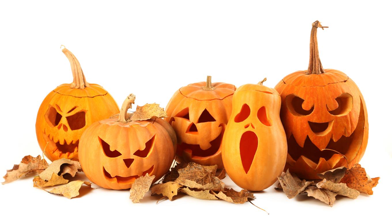 Halloween Halloween