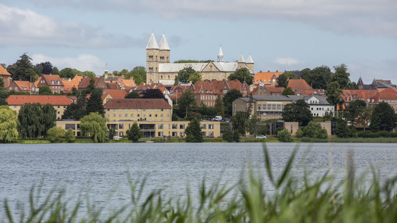 Viborg