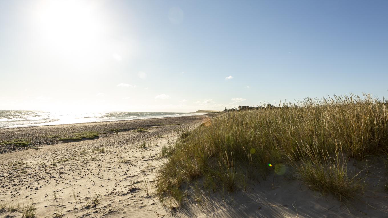 Strand