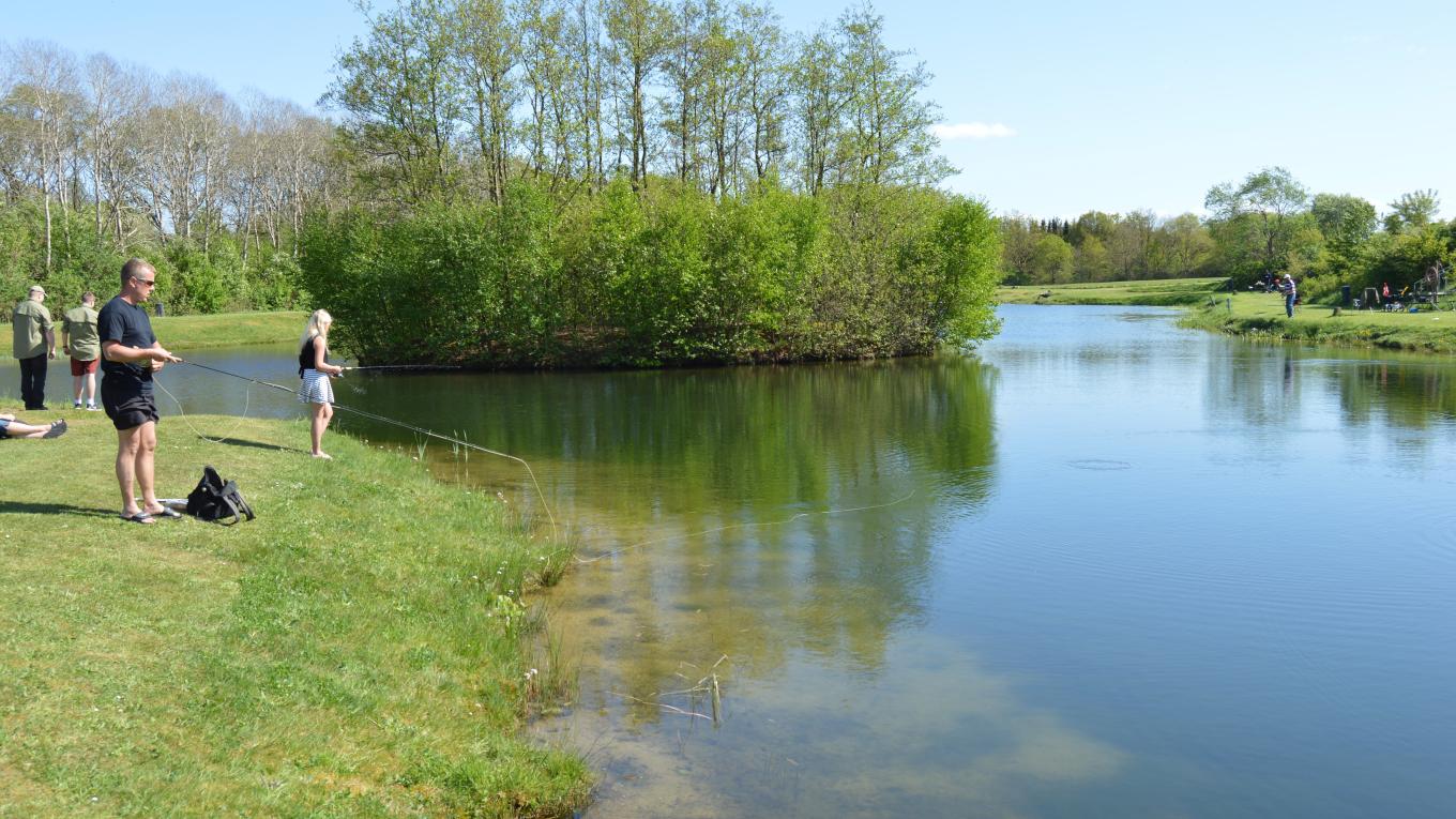 Fiskeri Fiskeri