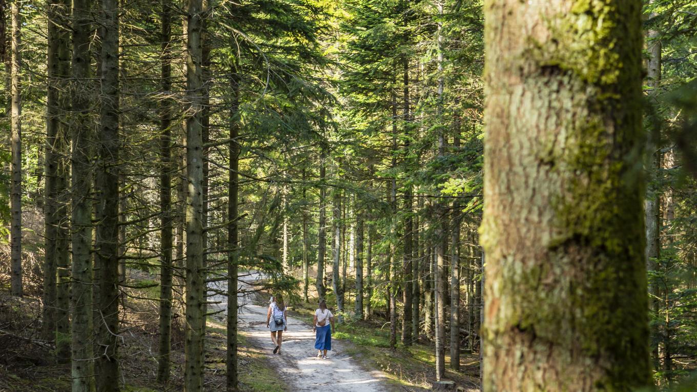 Foto: Lasse Løndahl Henriksen