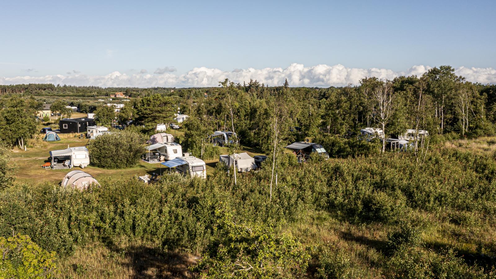 Foto: Lasse Løndahl Henriksen