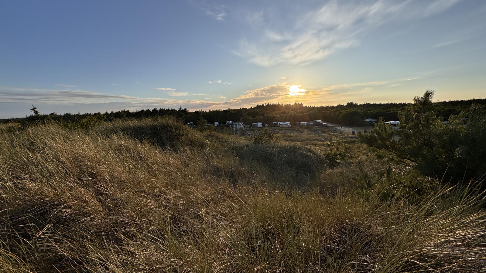 Foto: Lasse Løndahl Henriksen