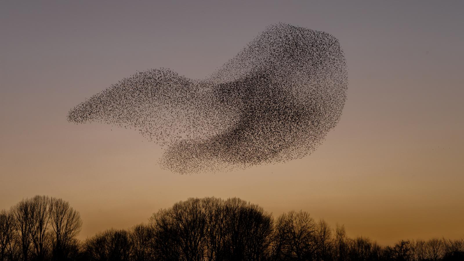Foto: Adobe Stock