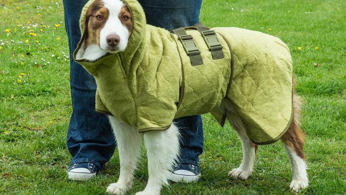 Siccaro, hundedragt, våd hund, dyredragt, tør hund, dragt til hunde, dragt til dyr