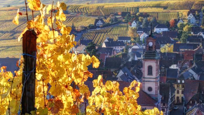 Området omkring Riquewihr i Alsace i Frankrig er utrolig smukt. Foto: PR