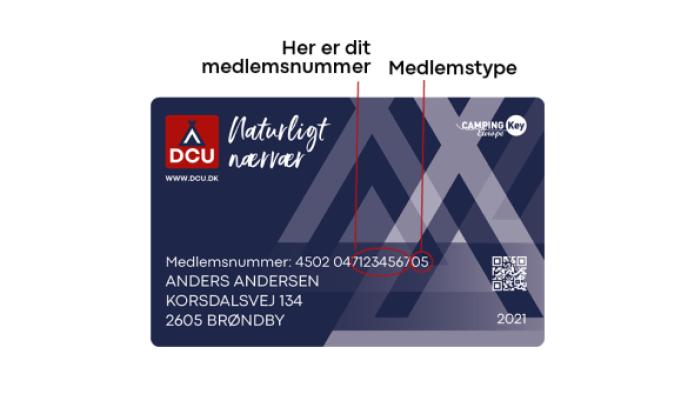 Grafik: Rikke Steenstrup Grafik: Rikke Steenstrup