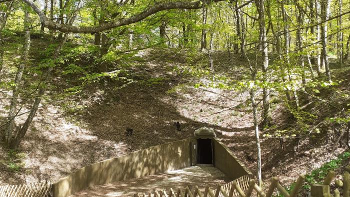 Billede af indgang til Daugbjerg Kalkgruber