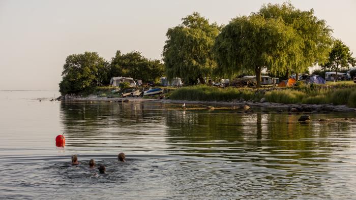 30-7-22_DCU-Camping_Aabyskov_strand_2022_foto_Lasse_Loendahl_Henriksen-2.JPG