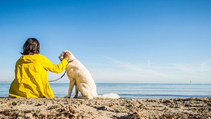 Ferieparadis for hunde