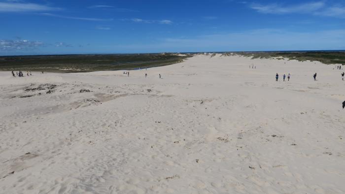Råbjerg Mile