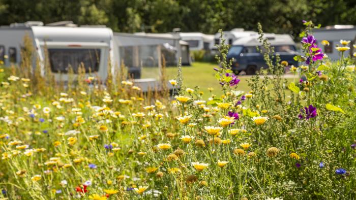 DCU Camping Rørvig