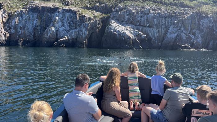 Bornholms Bådfart
