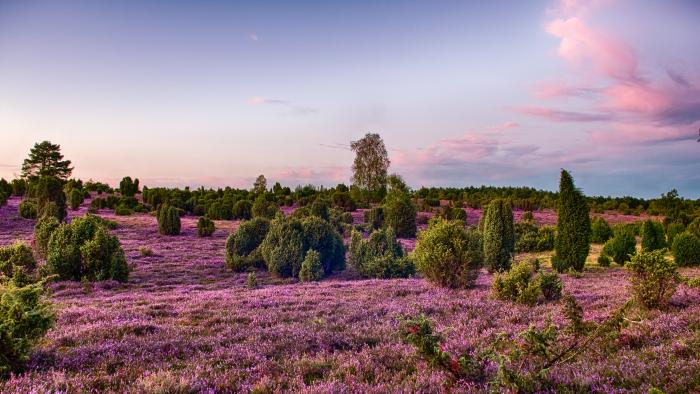 Foto: Adobe Stock