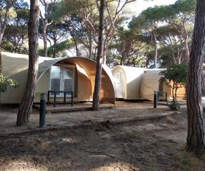 Camping 3 Estrellas