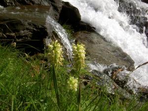 Camping Bergkristall