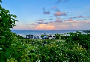 klitgaardcamping