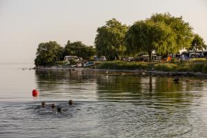 30-7-22_DCU-Camping_Aabyskov_strand_2022_foto_Lasse_Loendahl_Henriksen-2.JPG