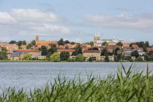 28-7-22_DCU-Camping_Viborg_2022_foto_Lasse_Loendahl_Henriksen-18.JPG