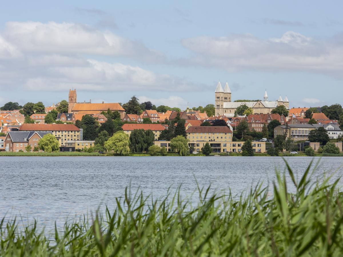 Viborg's Pancake Balls