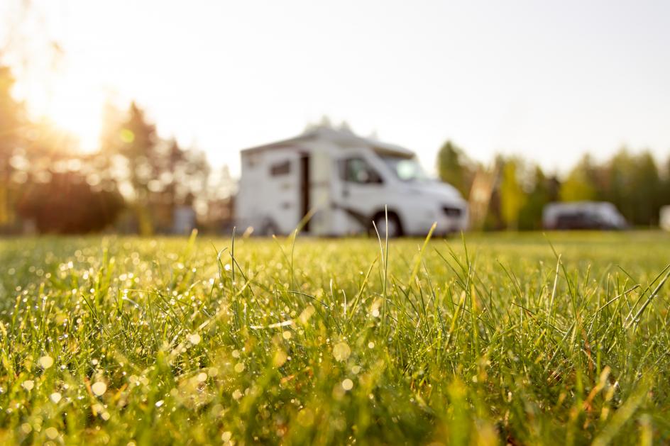 Foto: Adobestock Foto: Adobestock