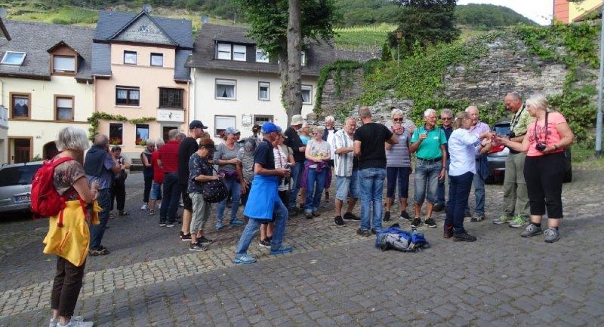 Vintur Mosel 2019