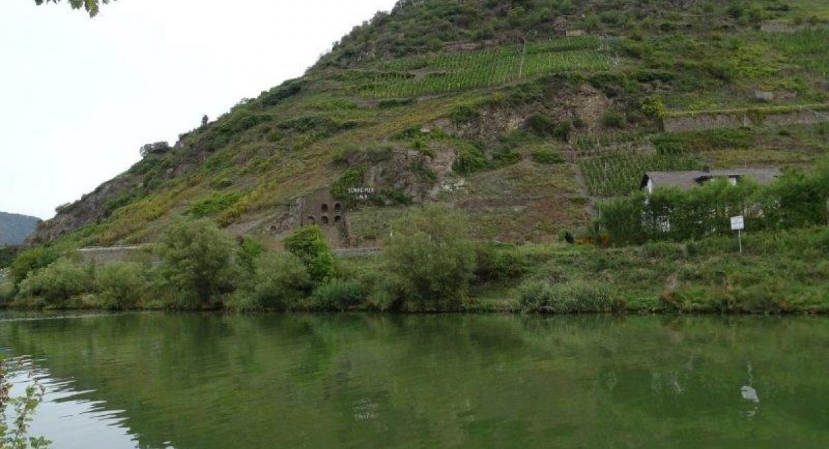 Vintur Mosel 2019